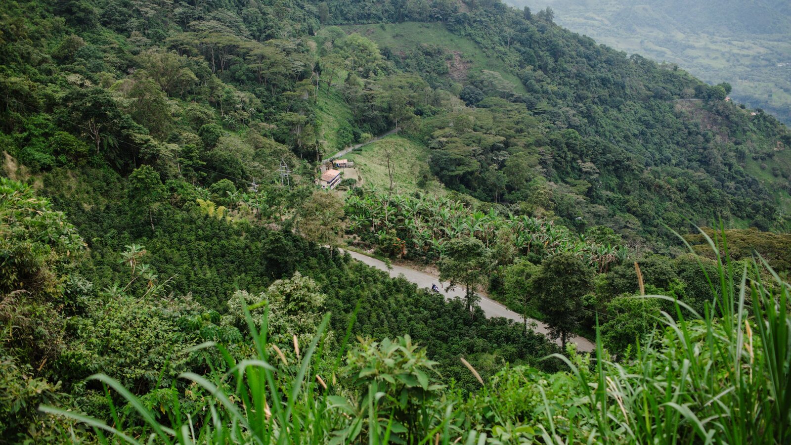 Steep green mountains farmed to the ridgeline, layered back into cloud.