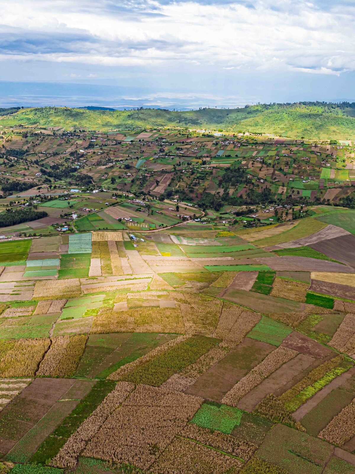 Small farm plots in deep red soil, seen from the air.