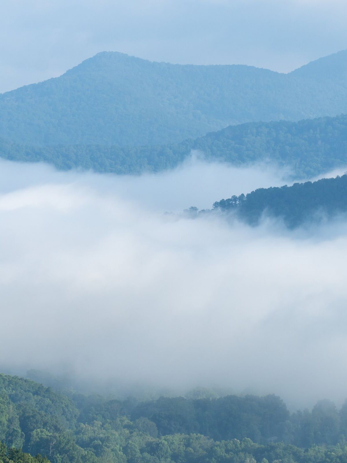 Mist filling a valley below a line of forested ridges.