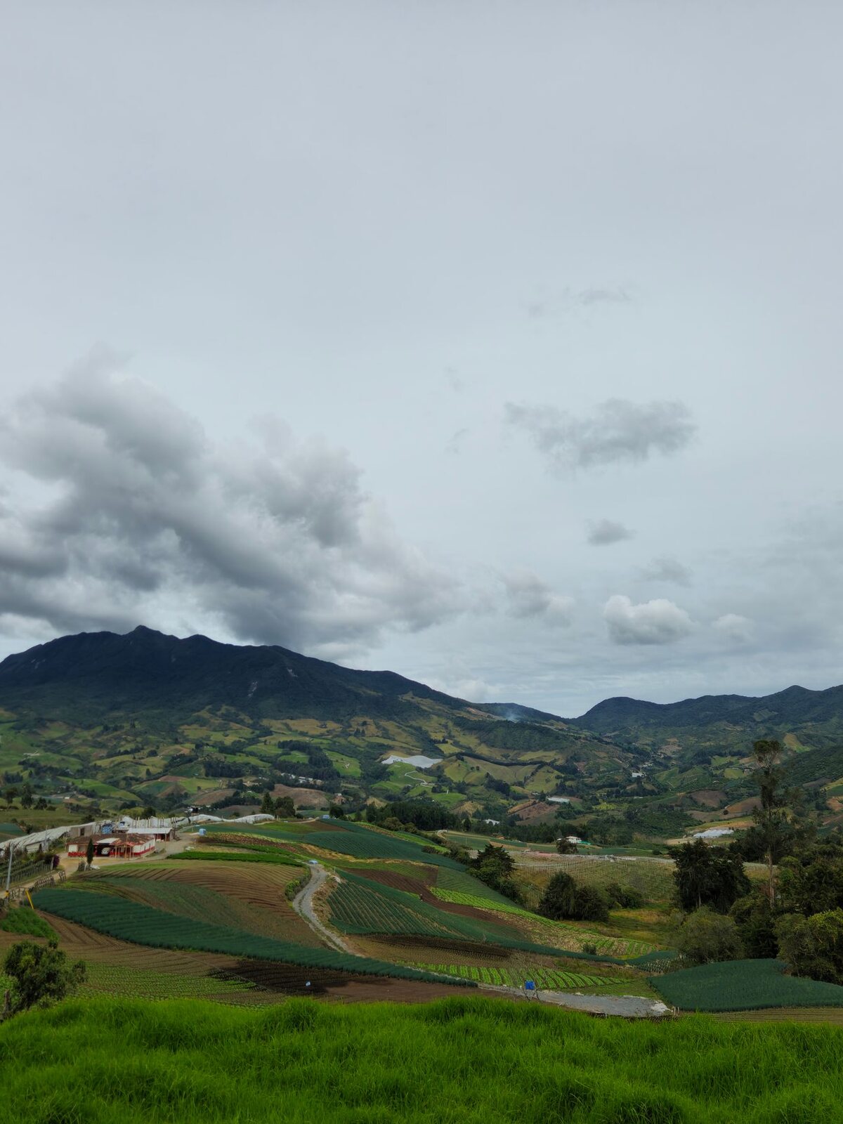 Cloud lying along a range of steep green farmed hills under a heavy sky.